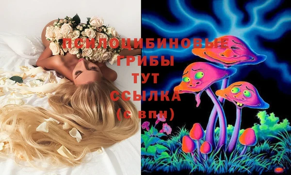 дурь Пролетарск